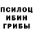Псилоцибиновые грибы Psilocybine cubensis Albert S.