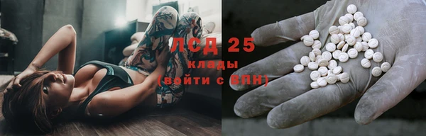 мет Алексин