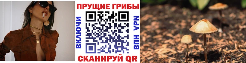 Галлюциногенные грибы GOLDEN TEACHER  даркнет сайт  Завитинск 